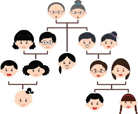 Vector Icons: Family Tree for the risk for heart disease