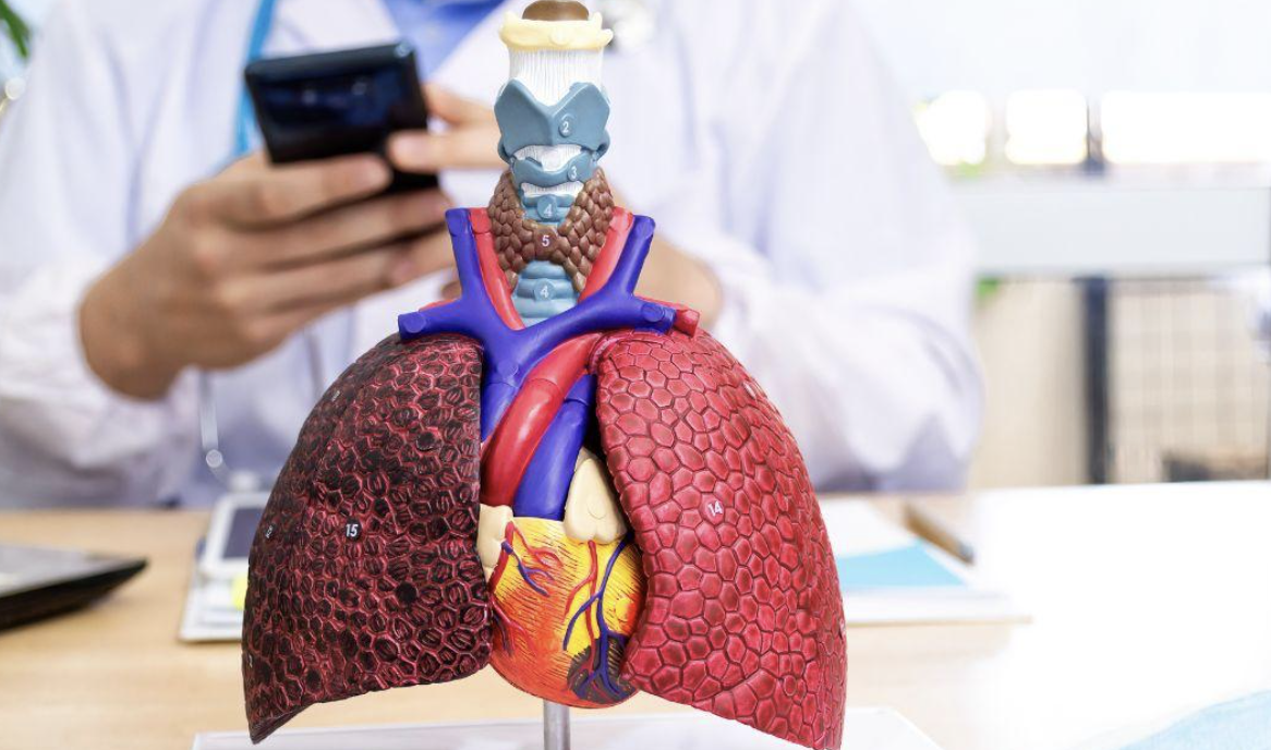 the link between smoking and heart disease - modern heart and vascular
